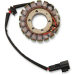 Статор OEM style RICK'S MOTORSPORT ELECTRICS 21-566