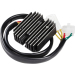 Регулатор LITH-ION 14-120 RICK'S MOTORSPORT ELECTRICS 14-120