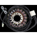 Статор в OE стил TRIUMPH RICK'S MOTORSPORT ELECTRICS 21-029