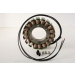 Статор в OE стил TGB RICK'S MOTORSPORT ELECTRICS 21-066