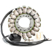 Arct oe style snow stator RICK'S MOTORSPORT ELECTRICS 24-009