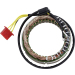 Статор HONDA 21-152 RICK'S MOTORSPORT ELECTRICS 21-152