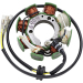 Статор HONDA HS RICK'S MOTORSPORT ELECTRICS 21-640H
