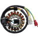 Статор SUZUKI RICK'S MOTORSPORT ELECTRICS 21-826