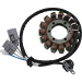 Статор OE style 21-728 RICK'S MOTORSPORT ELECTRICS 21-728