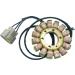 Статор BMW RICK'S MOTORSPORT ELECTRICS 21-038
