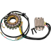 Комплект за зареждане H/S KAWASAKI RICK'S MOTORSPORT ELECTRICS 99-201H