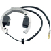 Статор KTM HUS 50 RICK'S MOTORSPORT ELECTRICS 21-0093