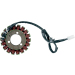 Статор OEM style RICK'S MOTORSPORT ELECTRICS 21-206