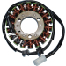 Статор OEM STYLE RICK'S MOTORSPORT ELECTRICS 21-210