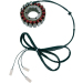 Статор OEM style RICK'S MOTORSPORT ELECTRICS 21-307