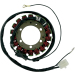 Статор OEM style RICK'S MOTORSPORT ELECTRICS 21-401