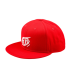 Шапка TROY LEE DESIGNS Flat Bill Snapback Badge - RED